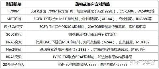 血型比对能亲子鉴定,血型比对与亲子鉴定，创新方案解析 Plus70.65.92,实用性执行策略讲解_ChromeOS45.79.40