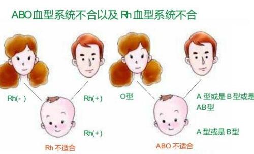 o血型跟o血型会溶血吗