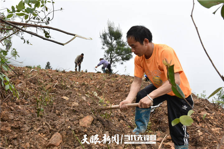 农村直播给农民带来的影响,农村直播给农民带来的影响与调整计划执行细节——纪念版91.52.78,连贯性方法评估_网页版15.25.28