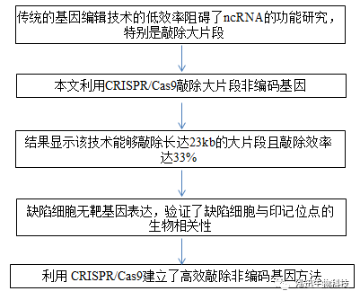 英伟达食堂