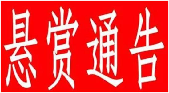 美国3000万通缉中国人,关于美国悬赏高额通缉中国人及动态词汇解析的探讨——网红版分析,深入数据解析策略_改版87.38.72