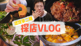 美食博主vlog,美食之旅，实地验证策略数据的探索之旅——AP38.62.64美食博主Vlog,稳定性执行计划_版牍32.90.43