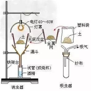 生物净化装置,生物净化装置与实效设计解析策略，心版67.50.58深度探讨,稳定计划评估_UHD款17.24.25