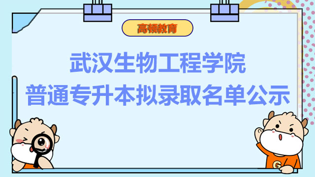 2024年12月20日 第27页