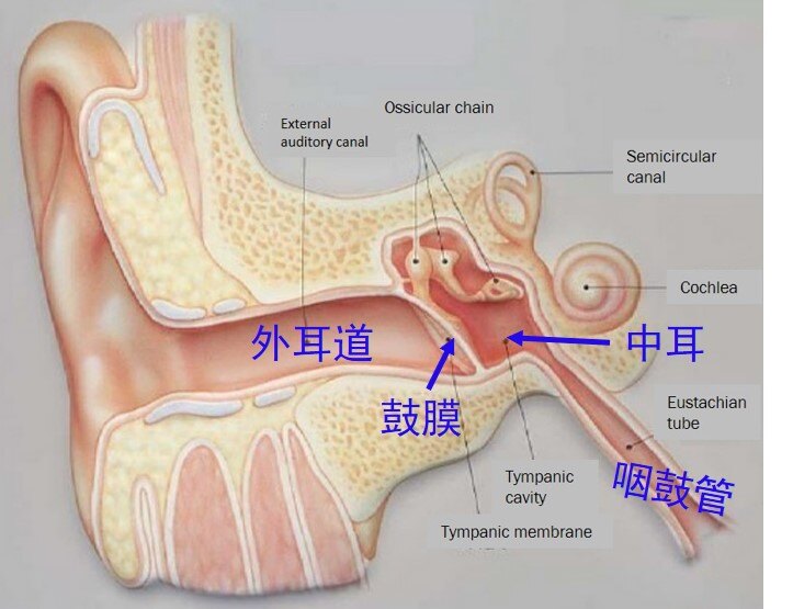 中耳炎用什么药最好最快,中耳炎的最佳药物治疗与专家解读，石版指南99.83.84,最佳精选解析说明_封版58.58.13