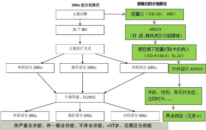 学步车属于什么分类