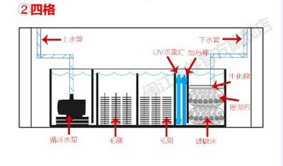 过滤盒和过滤箱