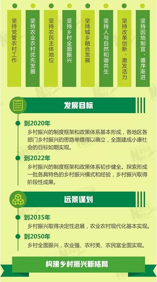 专业减肥方法有哪些,专业减肥方法与灵活实施计划探讨,数据决策分析驱动_进阶版42.72.47