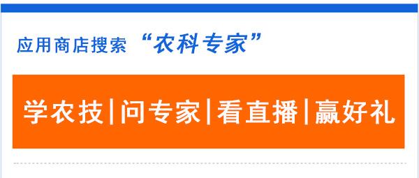 阳光玫瑰被中央315点评,阳光玫瑰与中央315点评，持久性执行策略在苹果版的应用与发展,迅速解答问题_版心76.11.39