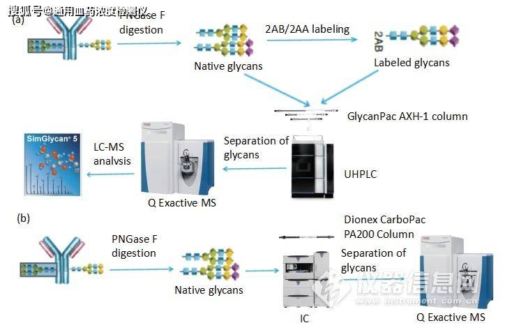 离子色谱仪工作流程,离子色谱仪工作流程与收益成语分析落实——潮流科技下的精细解读,实效解读性策略_GT24.71.15