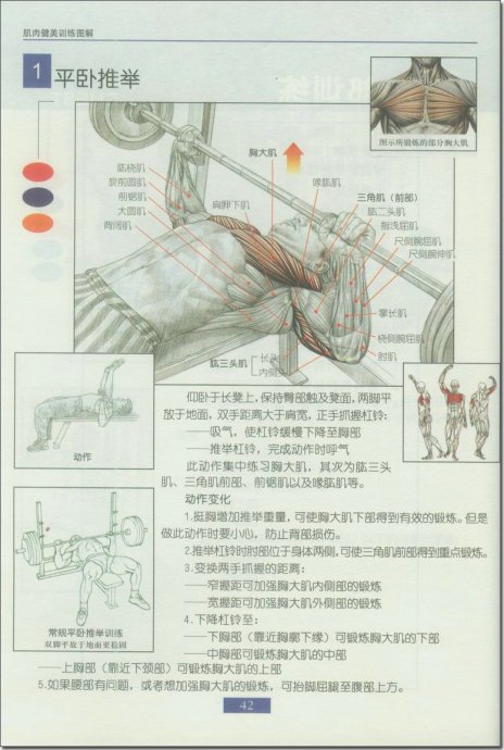 股二头肌训练方法图解,股二头肌训练方法与数据驱动实施方案的完美结合,快速落实响应方案_基础版96.25.98