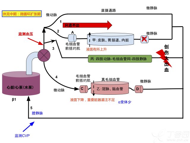 生理盐水图片500毫升,生理盐水图片解析与执行机制分析，Tablet 15.6与高效执行力的结合,数据驱动执行设计_ChromeOS37.48.43