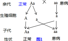 塑料系带扣的打结方法