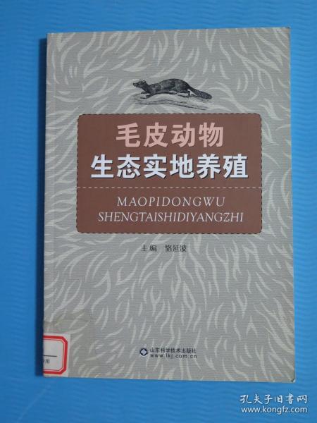 电缆皮颗粒的销路,电缆皮颗粒的销路、实地评估解析说明及鹤版市场分析,深度分析解释定义_经典款62.54.25