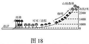 补强包是什么意思