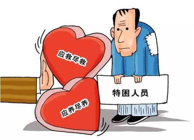 无痛人流价格,无痛人流价格详解与快速方案落实指南,可持续发展实施探索_10DM19.66.87