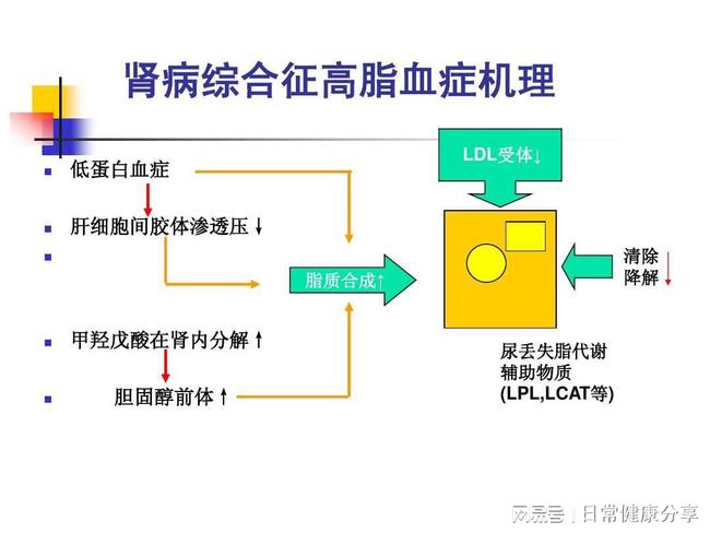 iga肾病最终走向是尿毒症吗