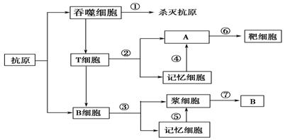 徽章与储能机理有哪些关联