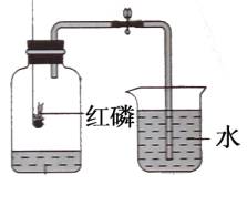 沸石属于仪器还是试剂