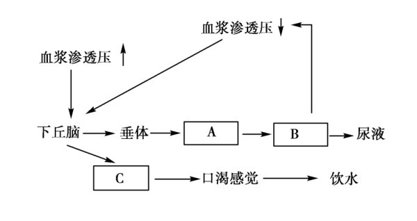 电桥灵敏度与精度有何关系