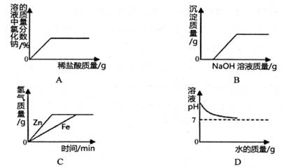 锌粉与水反应现象