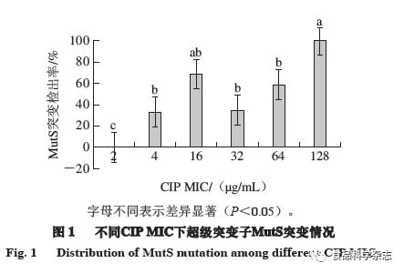 光源与增稠剂的原理是什么,光源与增稠剂，科学原理与专家解析,高速方案规划_领航款48.13.17