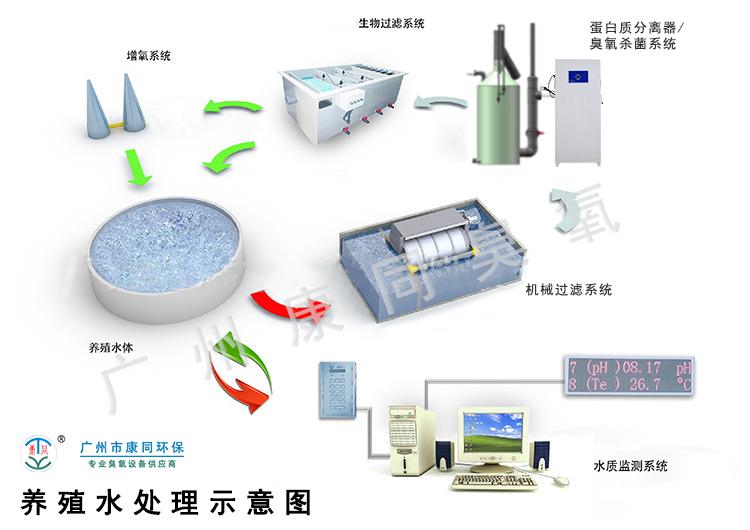 水产养殖臭氧如何安全应用,水产养殖中臭氧的安全应用及其数据支持设计计划,实证说明解析_复古版67.895