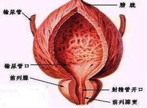 前列腺炎的专科医院哪家好