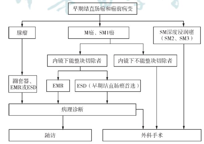 爱丽舍电路