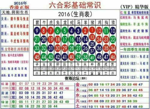 2024十二生肖49码表,揭秘十二生肖与数字密码，专业解析评估与解读2024年生肖运势之49码表,安全解析策略_S11.58.76