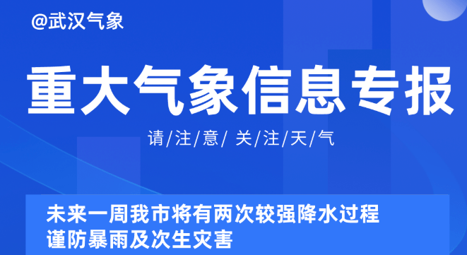 2025新澳正版免费资料,未来资讯探索，新澳正版资料的迅速处理与解答问题之路,全面应用分析数据_The37.83.49