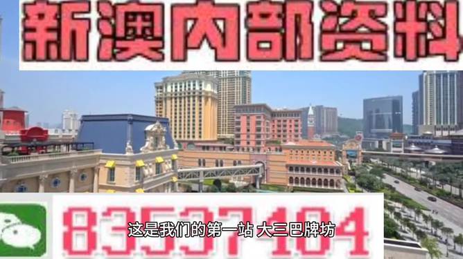 2024澳门精准正版资料大全,探索未来之门，澳门精准正版资料大全的全面应用分析数据（The37.83.49）,安全解析策略_S11.58.76