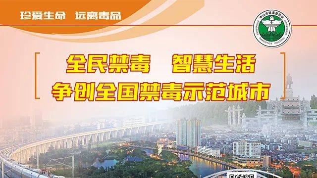 2024澳门天天开好彩资料?,澳门未来展望，高效交通规划与多彩生活展望,实证说明解析_复古版67.895