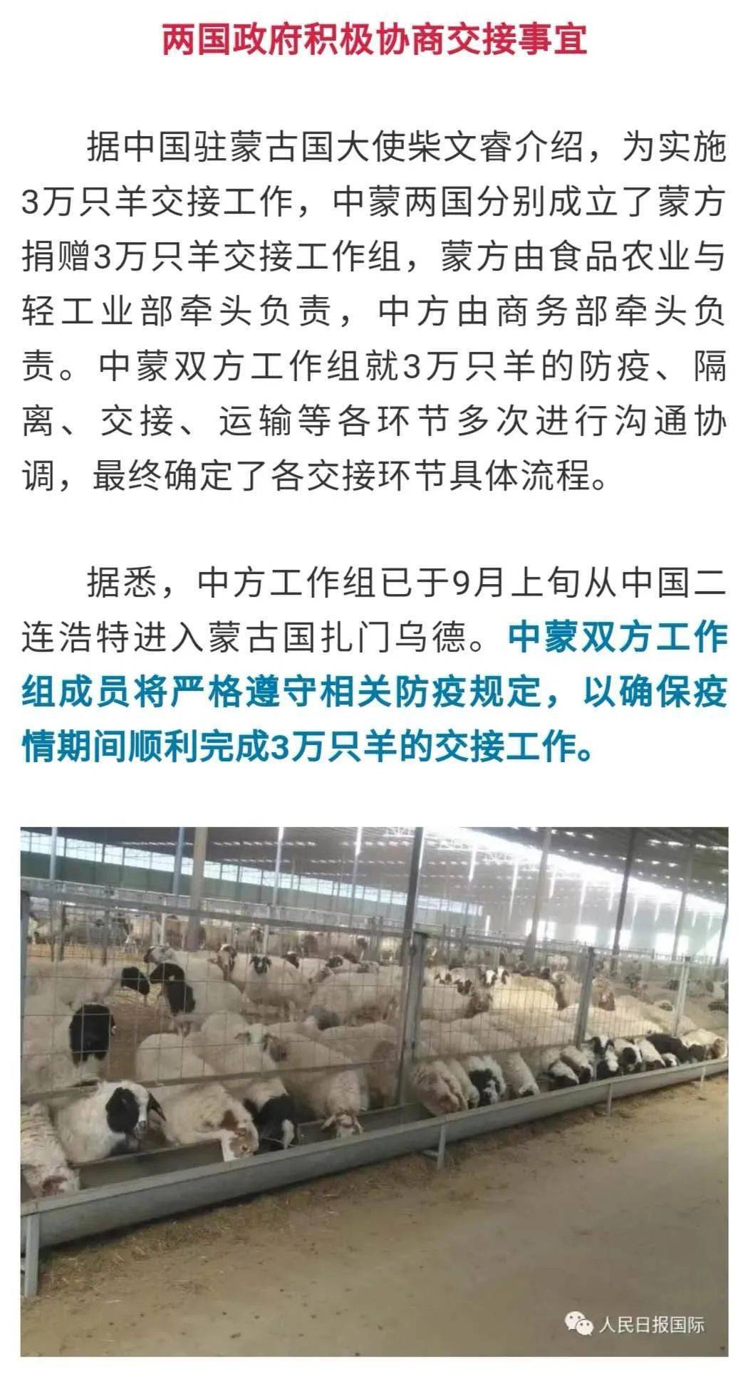 新奥门特免费资料大全,新奥门特免费资料大全与专家意见解析——探索与解析（非娱乐内容）,数据支持设计计划_S72.79.62