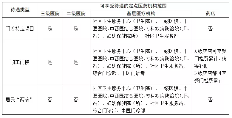 澳门特马专业解析与评估