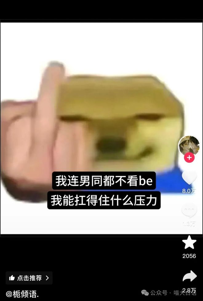 丁克的李健抱着他绝育的猫