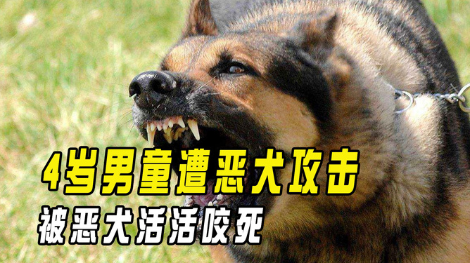 恶犬袭击