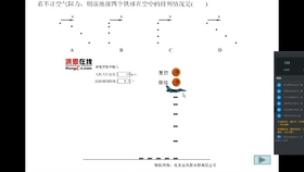 生肖专家分析解释定义