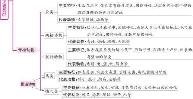 澳彩2025正版资料大全完整版,最新正品解答定义_pack19.59.67