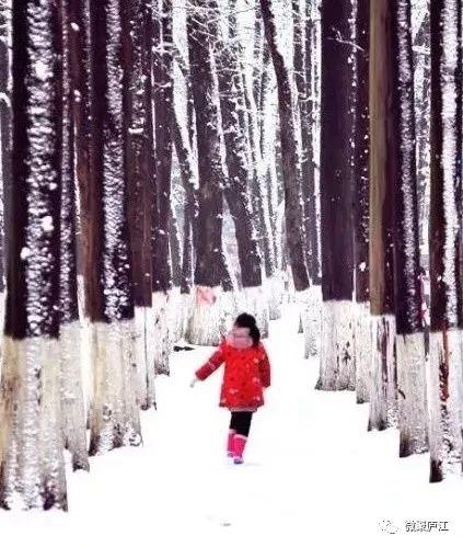 雪落纷飞