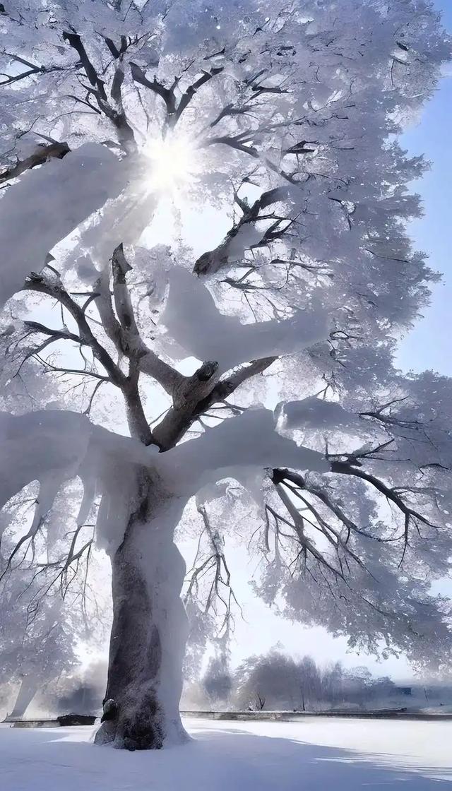 新疆雪后景色