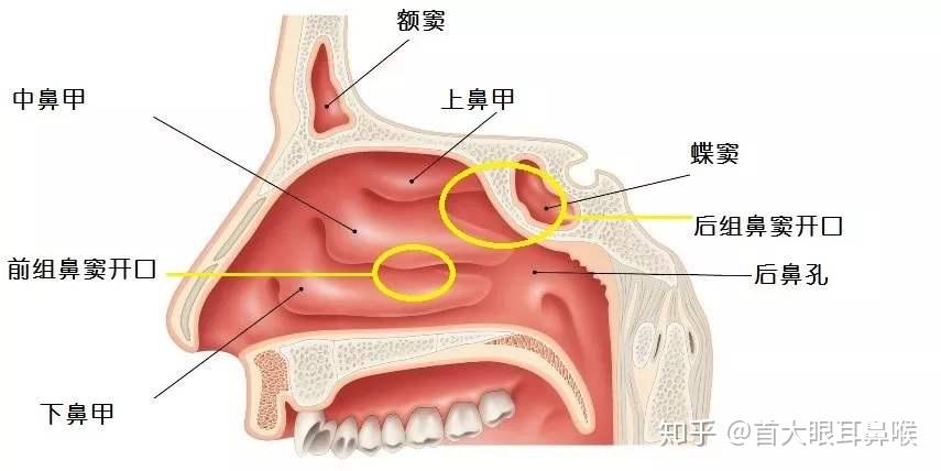 呼吸道疾病患者激增