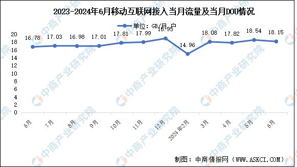 2024年分析