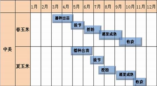 2025年1月19日 第4页