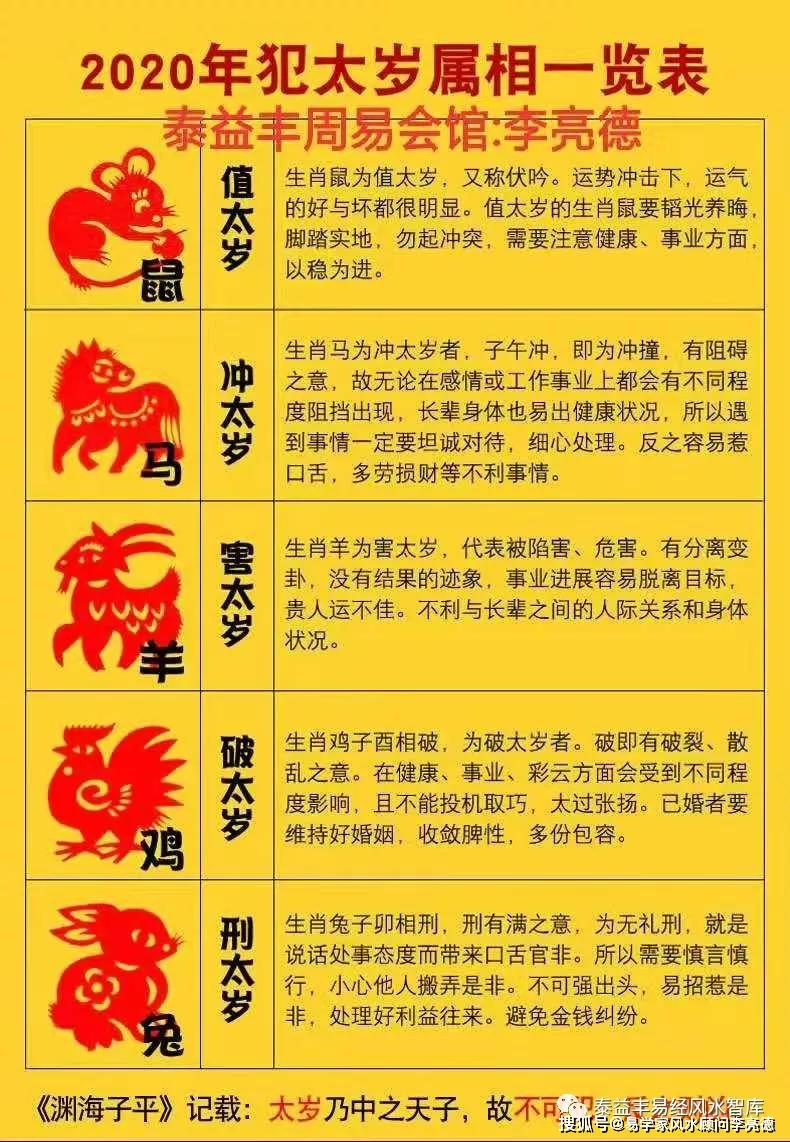 现状解读说明（或“买马方法与现状解读”）