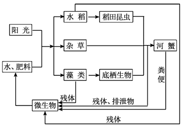 四川舰出坞