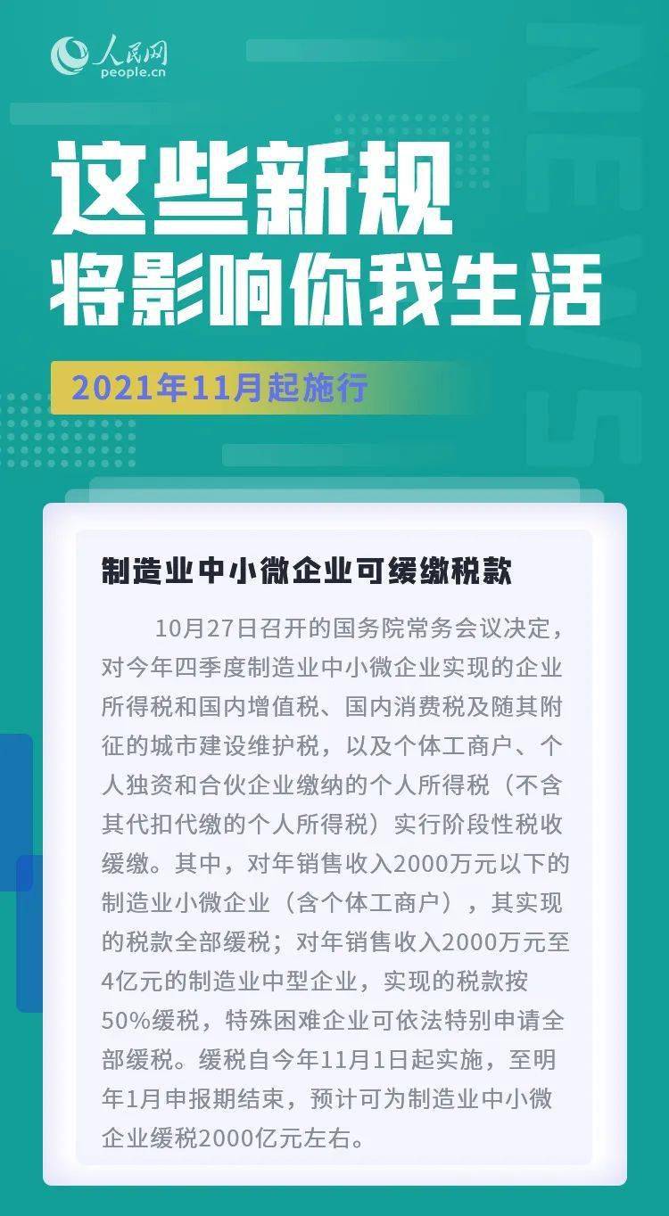 气血不足的人可以学学小猫实践案例解析说明_4K58.86.56