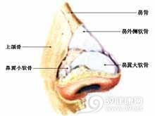 执行计划/提高鼻梁稳定性