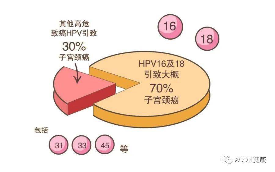 男性HPV疫苗在华获批上市深入数据应用解析_AP45.47.99