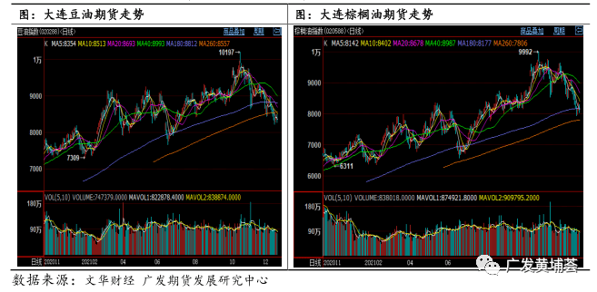 特朗普和马斯克关系